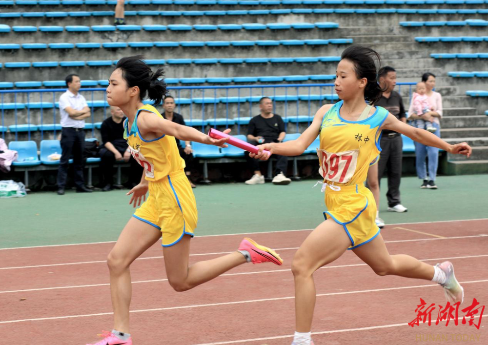 开云体育登录-包含冷静与激情交织!田径完美收官的词条