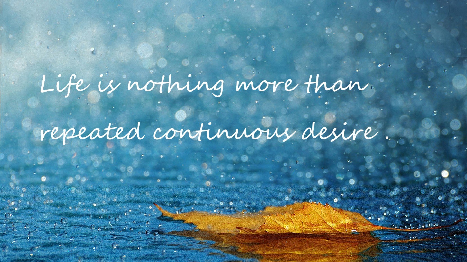 绝境之王，阿圭罗闪电破门，紫百合风暴席卷北欧