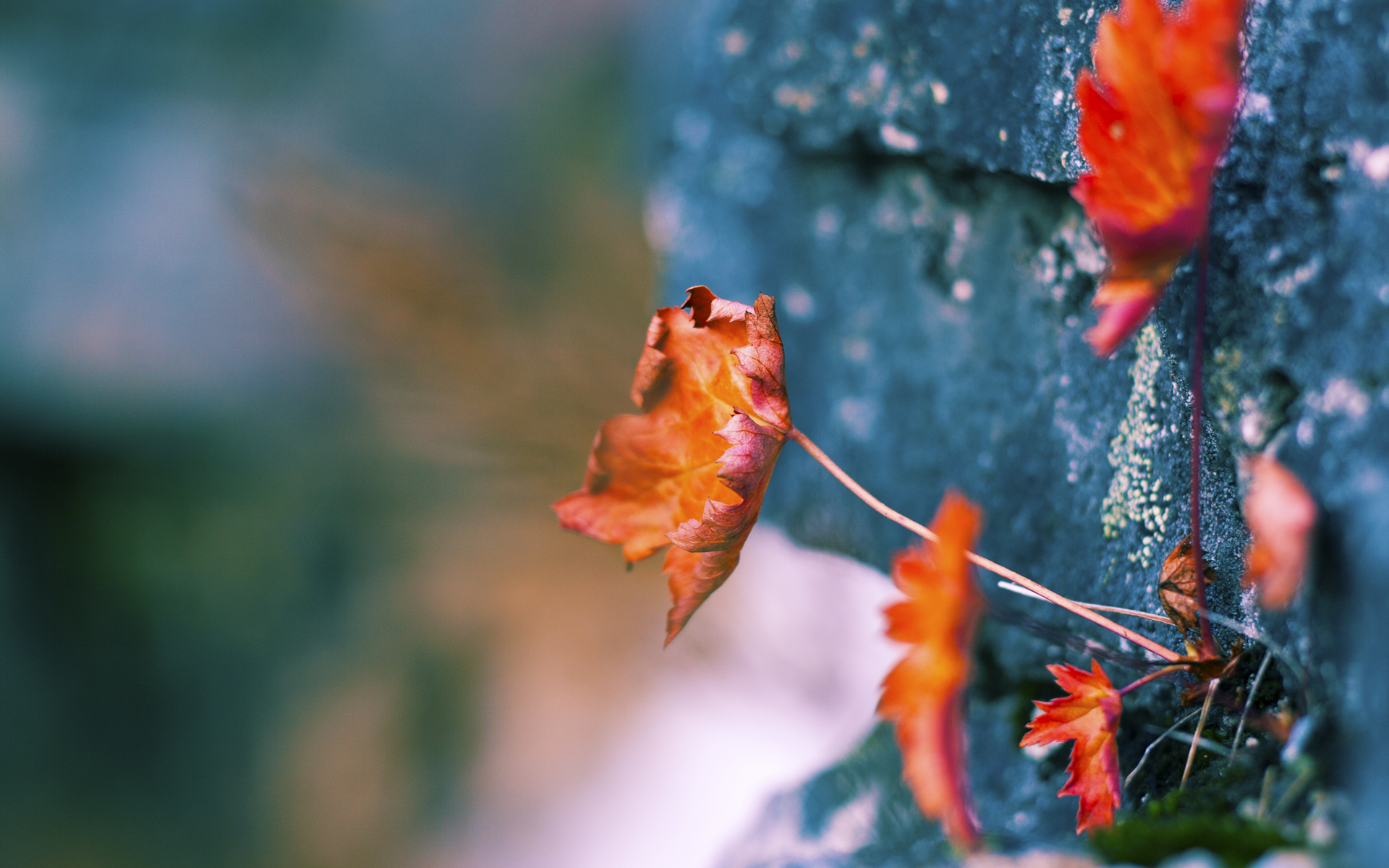 英雄斯通斯，决胜局惊魂葡萄牙