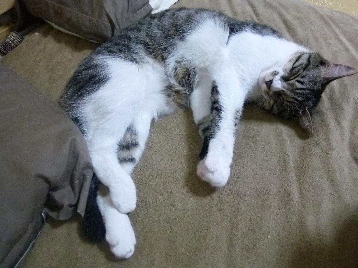 开云APP-新王炸之夜，爱德华兹活塞首秀献压制级发挥，率队力克广东