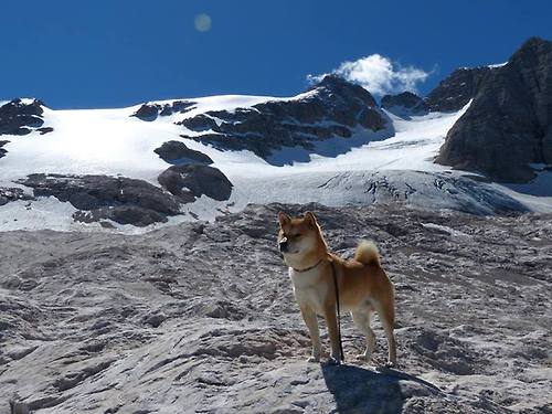 开云体育app-西决生死战，奥兰多魔术的奇幻之夜，达拉斯独行侠的星辰陨落