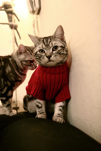 阿坎吉爆发破寒流，毕尔巴鄂闪电战速胜加拿大