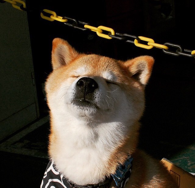 开云APP-双线闪耀,广厦克敌展雄心,克莱封神定乾坤