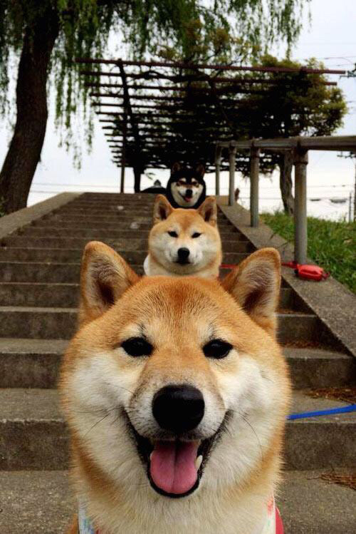 开云体育官网-大幕升起时,逆流而上者,伦纳德定律与上海队的惊天翻盘