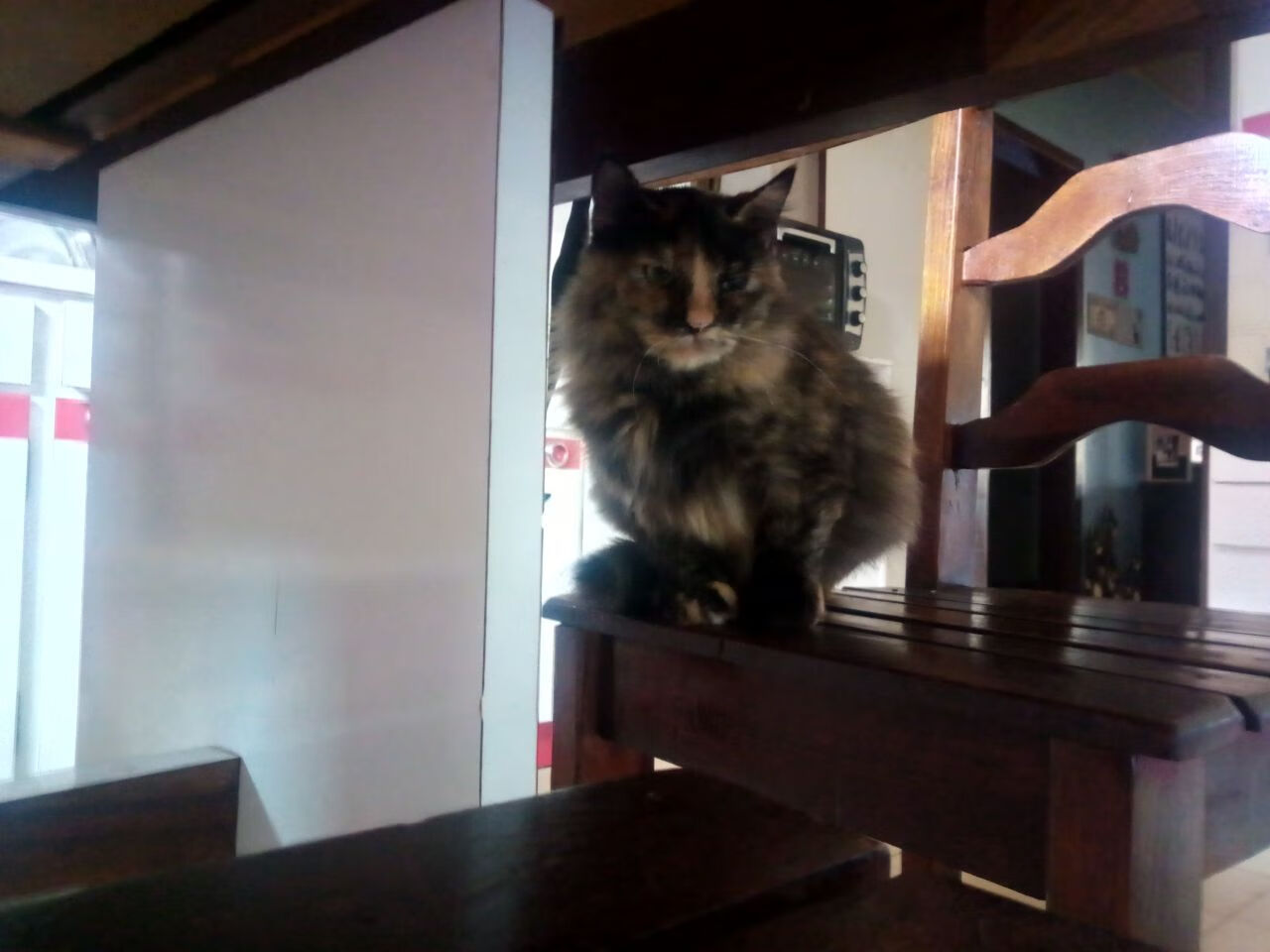 开云体育官网-马克西狂飙40+山西血战加时破新疆,客场爆冷取胜