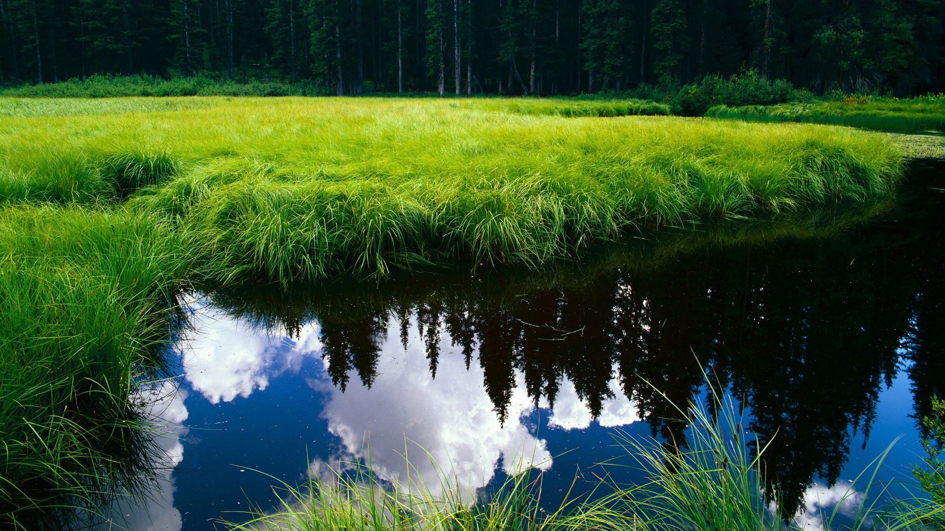 开云官网-超神之夜,当本泽马用灵魂点燃全队,里昂把绝境踩成凯旋之路