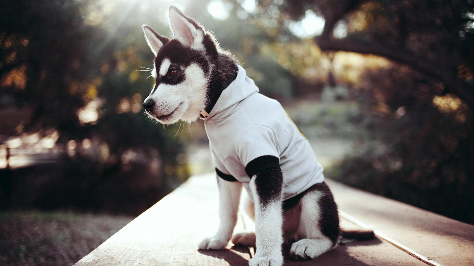 生死线上的王者,乔治攻防两端的抢七统治