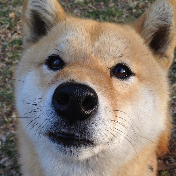 开云体育官方网站-南美风暴席卷北非，委内瑞拉铁血击溃阿尔及利亚，昂首晋级